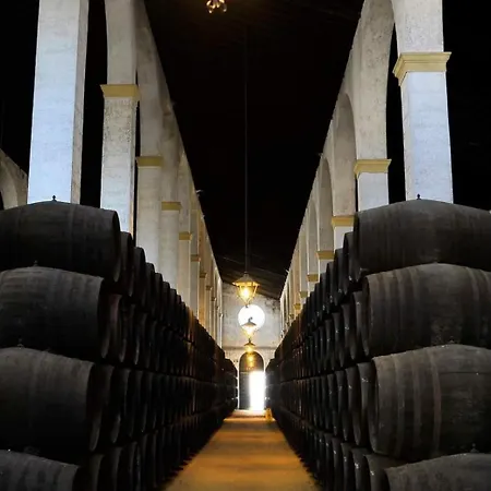 Sherryflat Solea Parking * Jerez de la Frontera